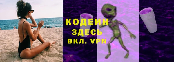 ГАЛЛЮЦИНОГЕННЫЕ ГРИБЫ Арсеньев