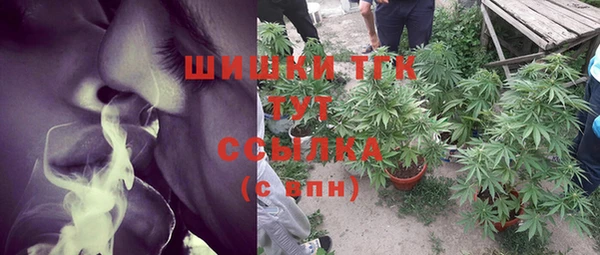 ГАЛЛЮЦИНОГЕННЫЕ ГРИБЫ Арсеньев