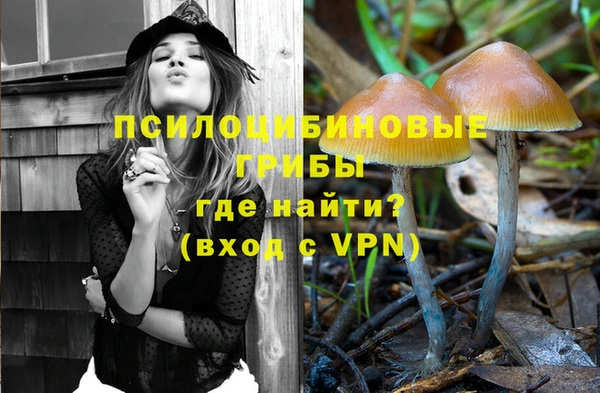 метамфетамин Аркадак